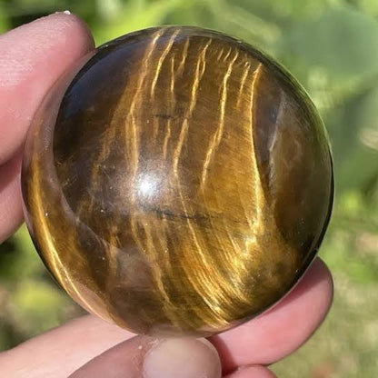 Wholesale Natural Yellow Tiger Eye Sphere Healing Quartz Crystal Ball for Home Decoration